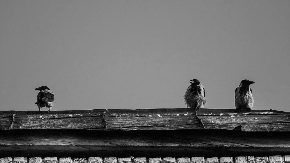 Photograph by Виталий