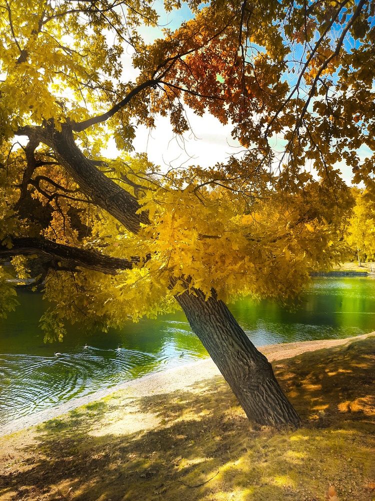 Фотография автора Irina Vornacheva