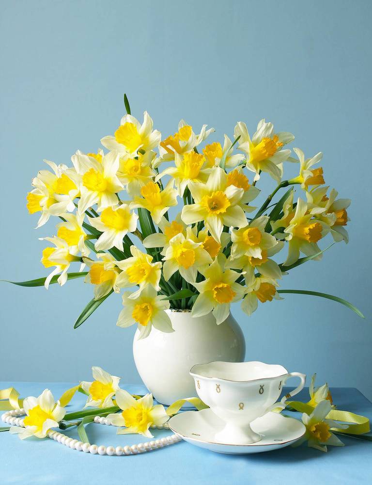 Photograph by Татьяна Долженкова