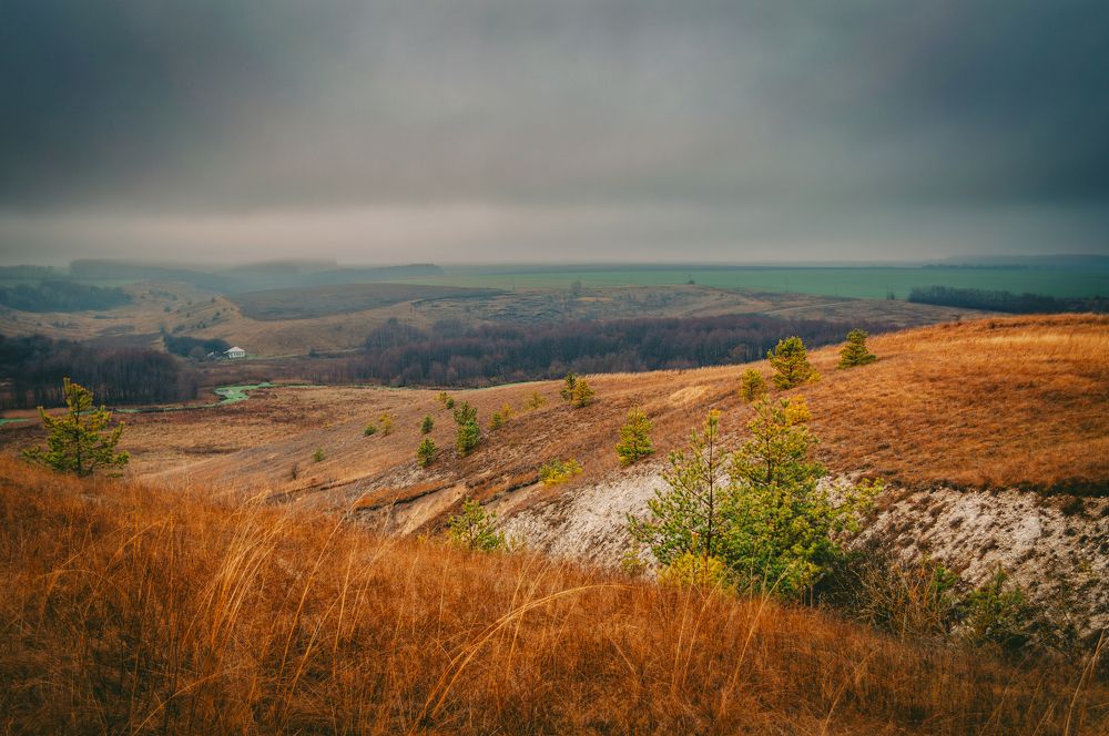 Photograph by Ольга Глущенко