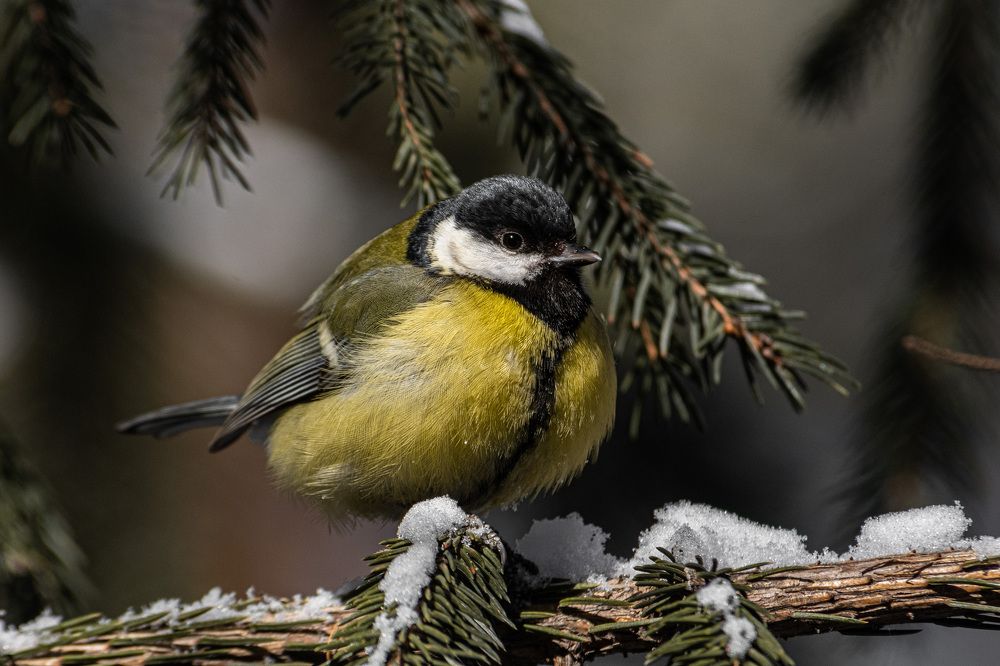 Photograph by Андрей Бобрюк