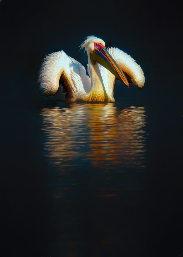 Photograph by Шварцман Евгений