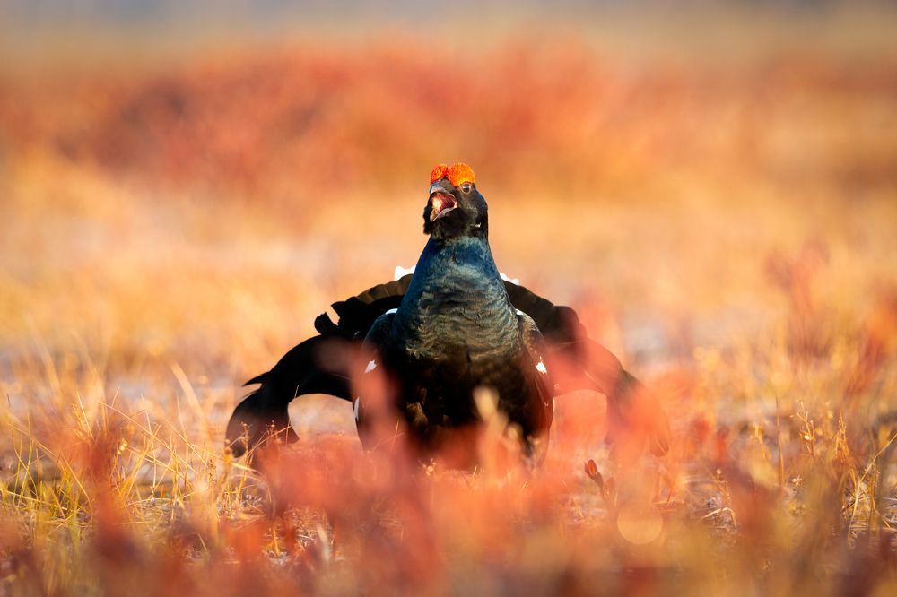 Photograph by Александр Ильин