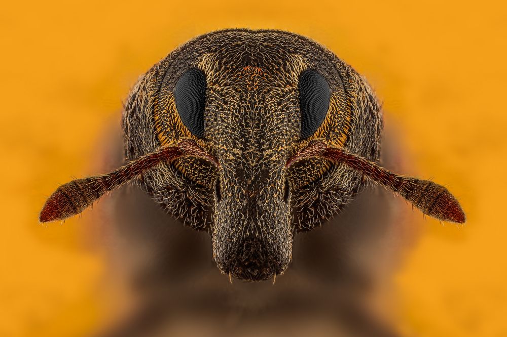 Photograph by Hocine Ferhat