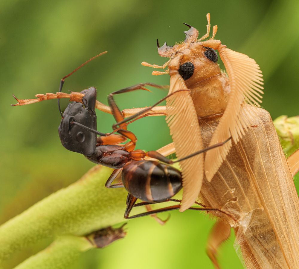Photograph by Hocine Ferhat