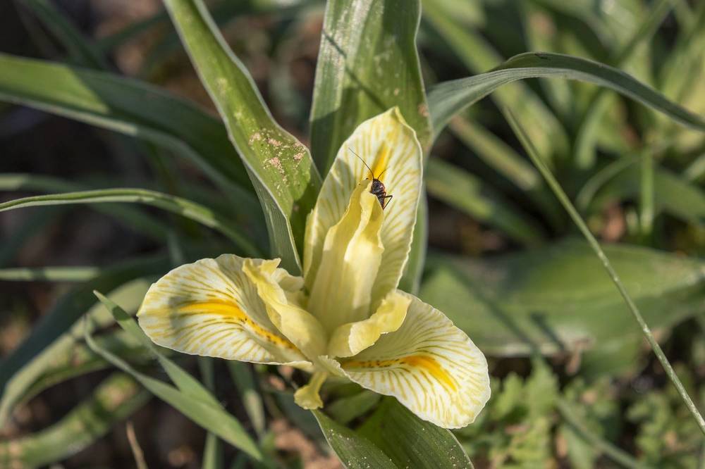 Photograph by Валентина Лопаткина