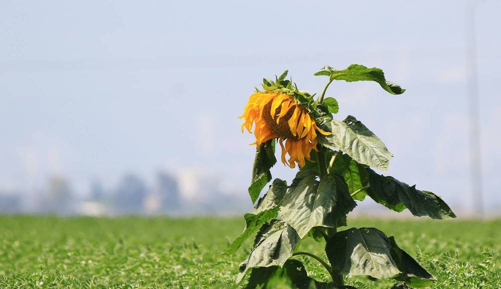 Photograph by Валентина Лопаткина