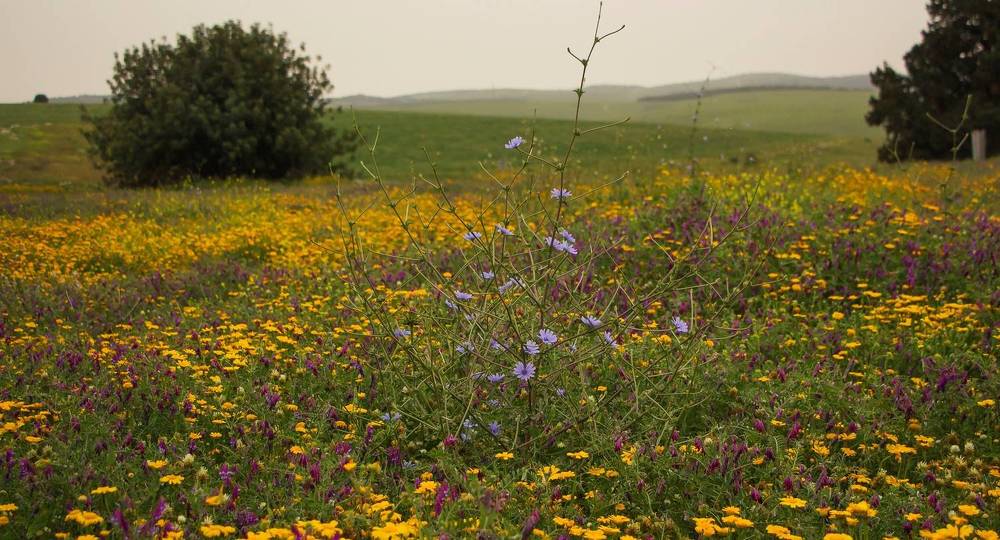 Photograph by Валентина Лопаткина