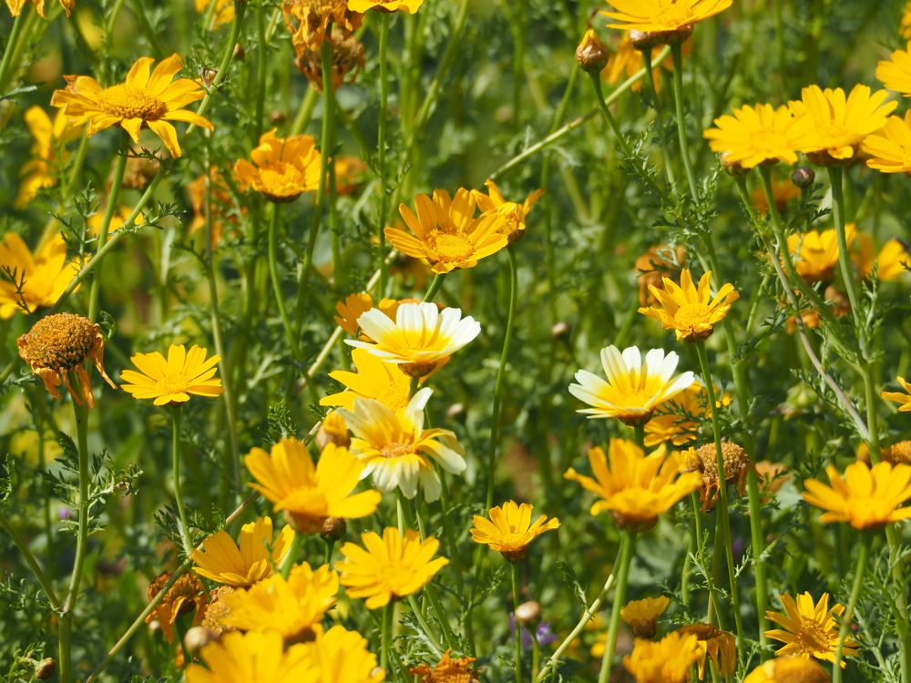 Photograph by Валентина Лопаткина