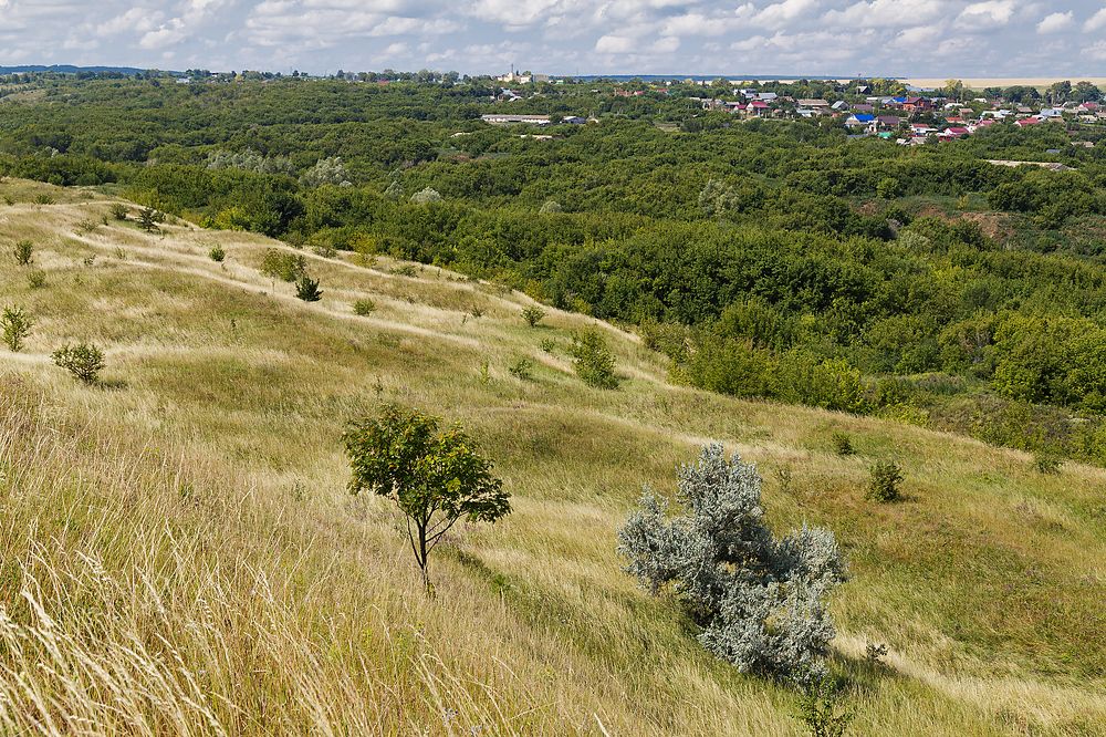 Photograph by Olga Shtin