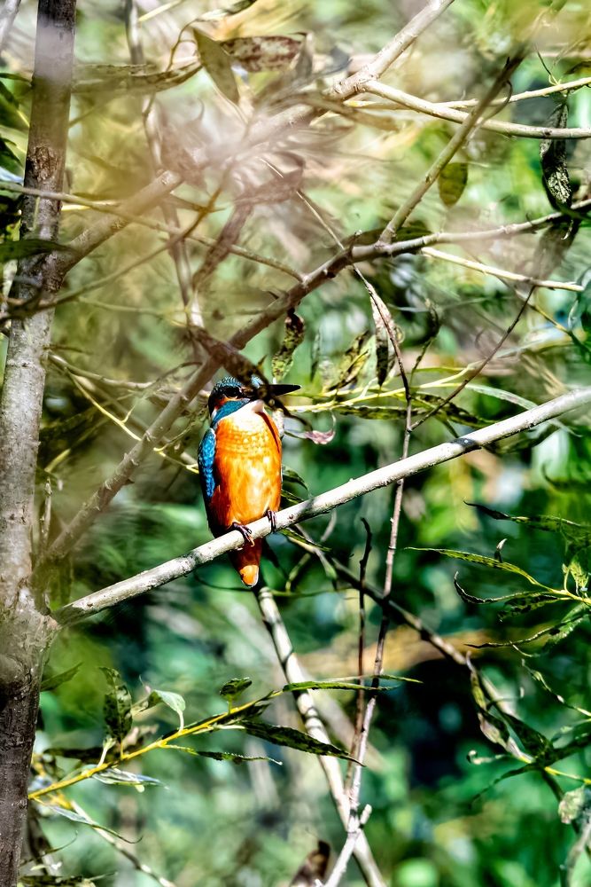 Photograph by Jozef Lepáček