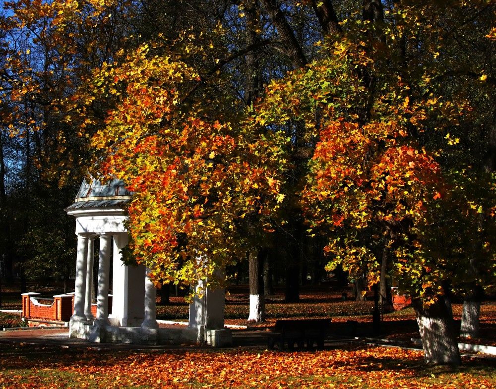 БЕСЕДКА В ЛИСТВЕ