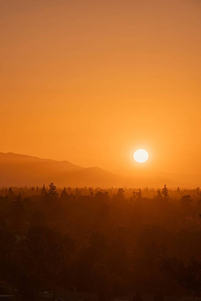 Photograph by Anna Vlasova