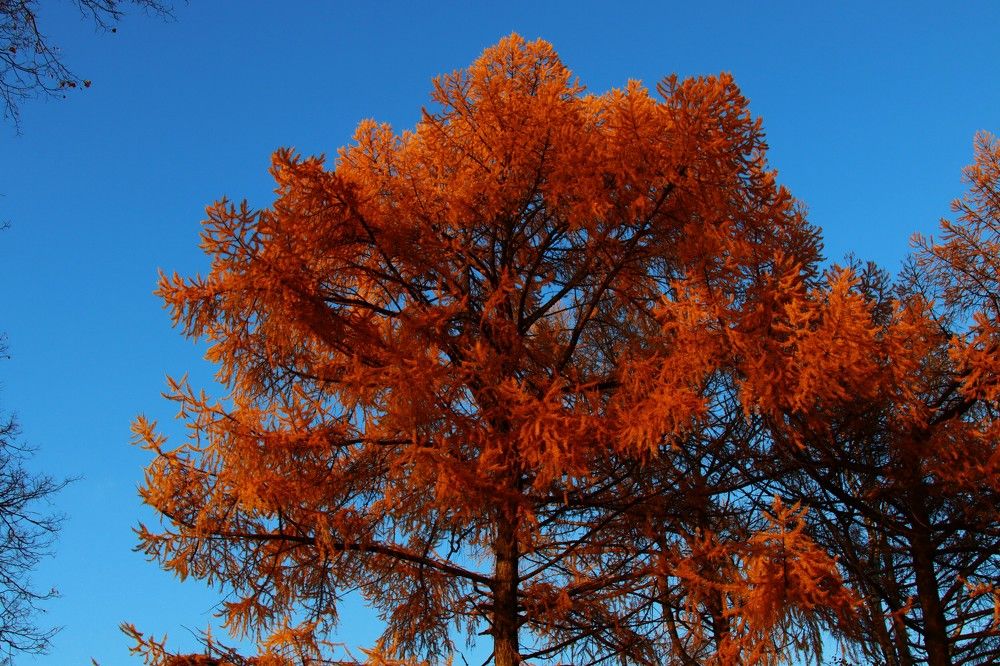 ЯРКОСТЬ НА СИНЕМ ФОНЕ