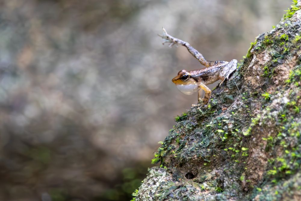 Photograph by Abhijith VG