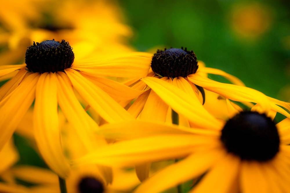 Photograph by Marina Mossiy