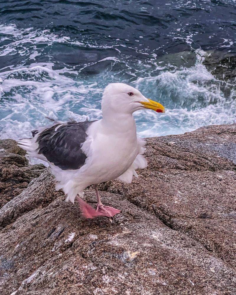 Photograph by Юлия