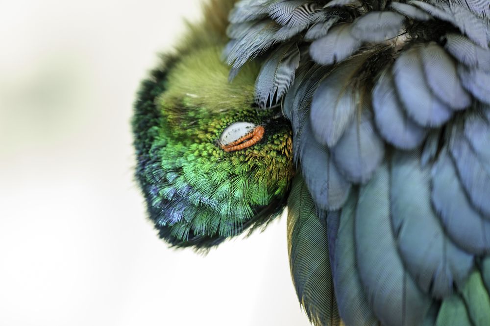 Photograph by Rino Suren