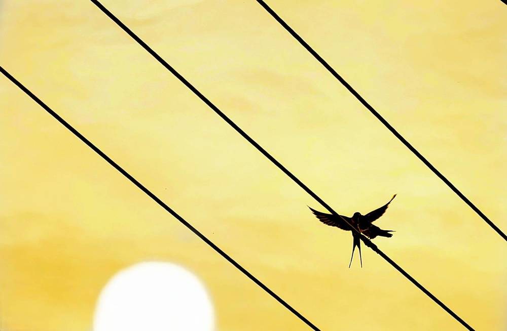 Photograph by Alen Brkić