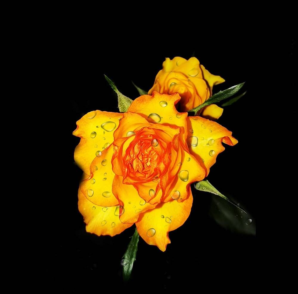 Photograph by Alen Brkić