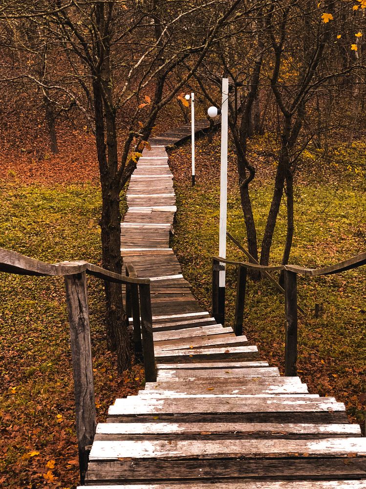 Photograph by Елена Громова