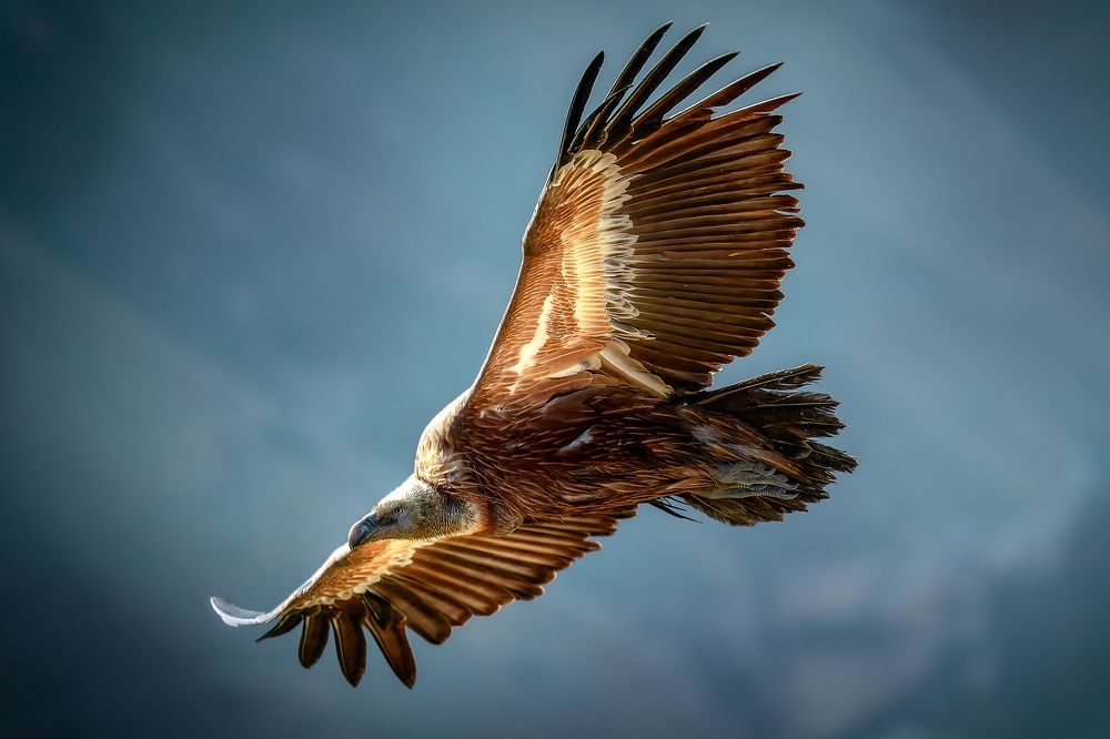 Photograph by Aleksandr Solovev