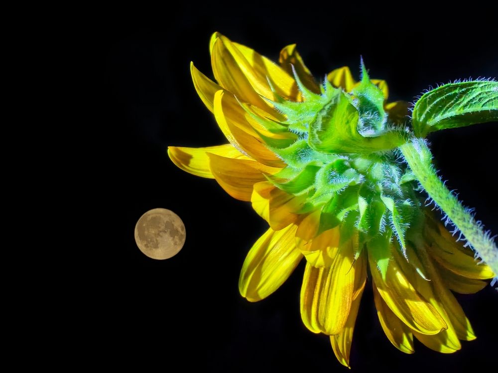 Photograph by Alen Brkić