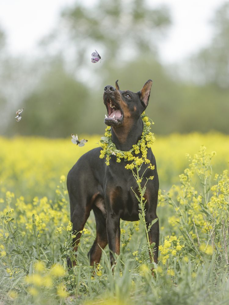 Photograph by Мария Клещенко