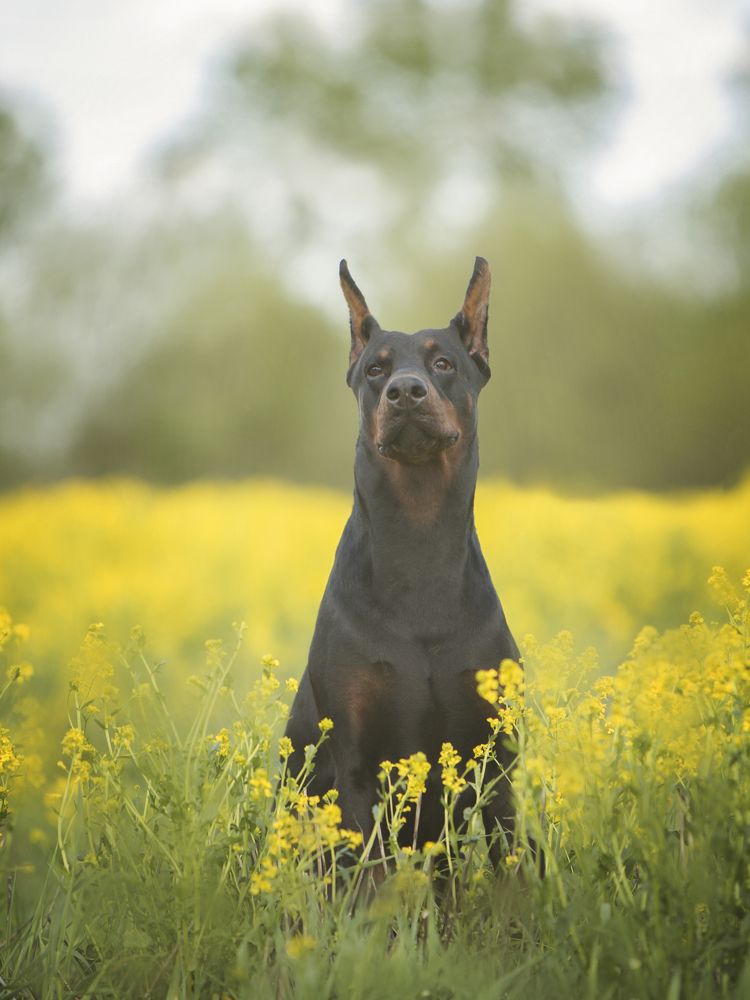 Photograph by Мария Клещенко