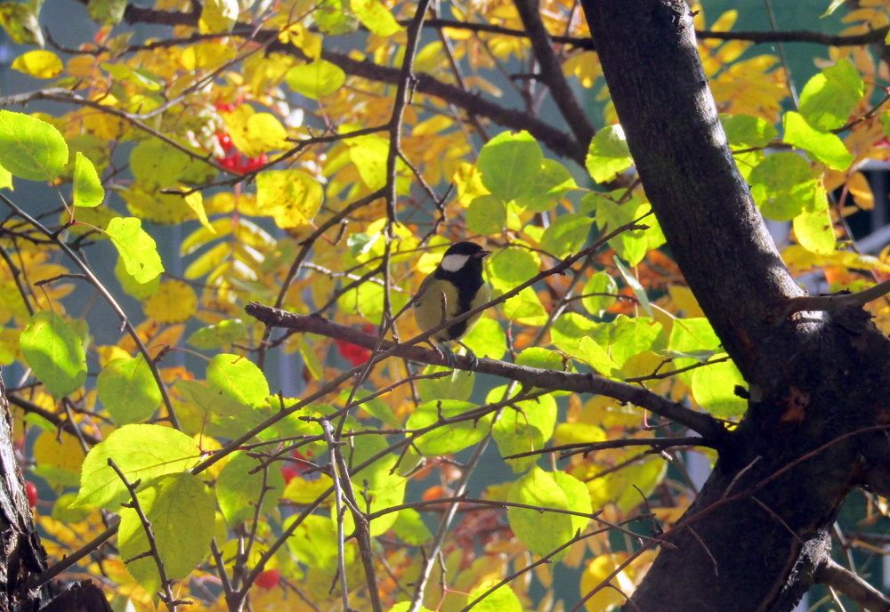 Photograph by Татьяна Смирнова