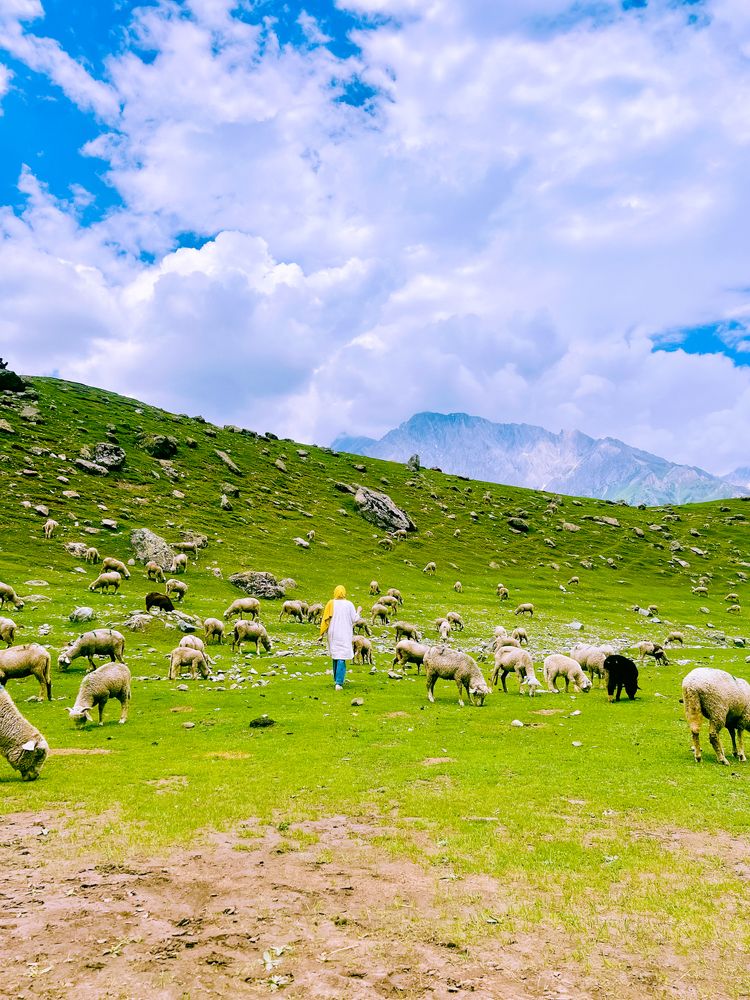 when we found what nature can show