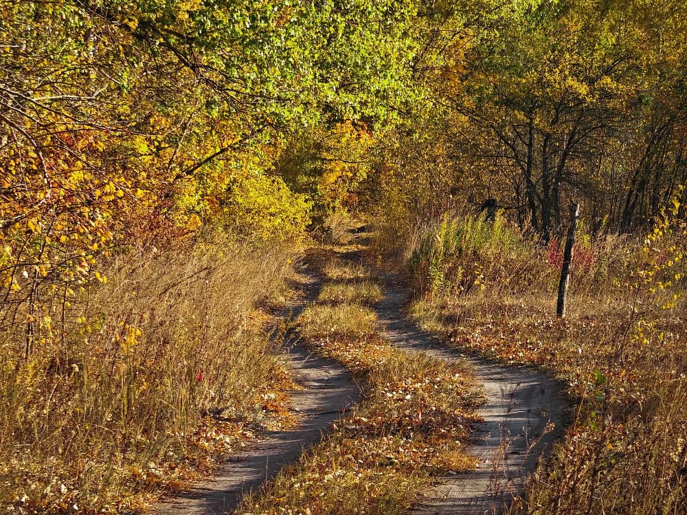 Photograph by Владимир Фролов