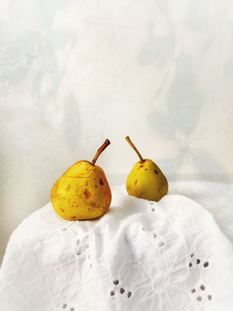 Фотография автора Татьяна Шахова