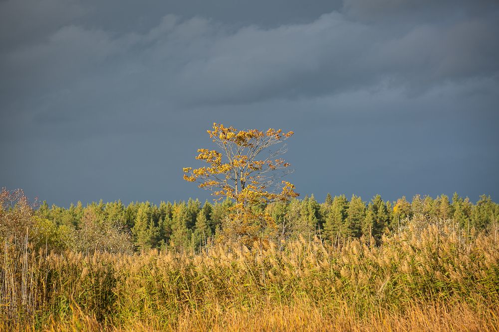 Photograph by Наталья Катюжанская
