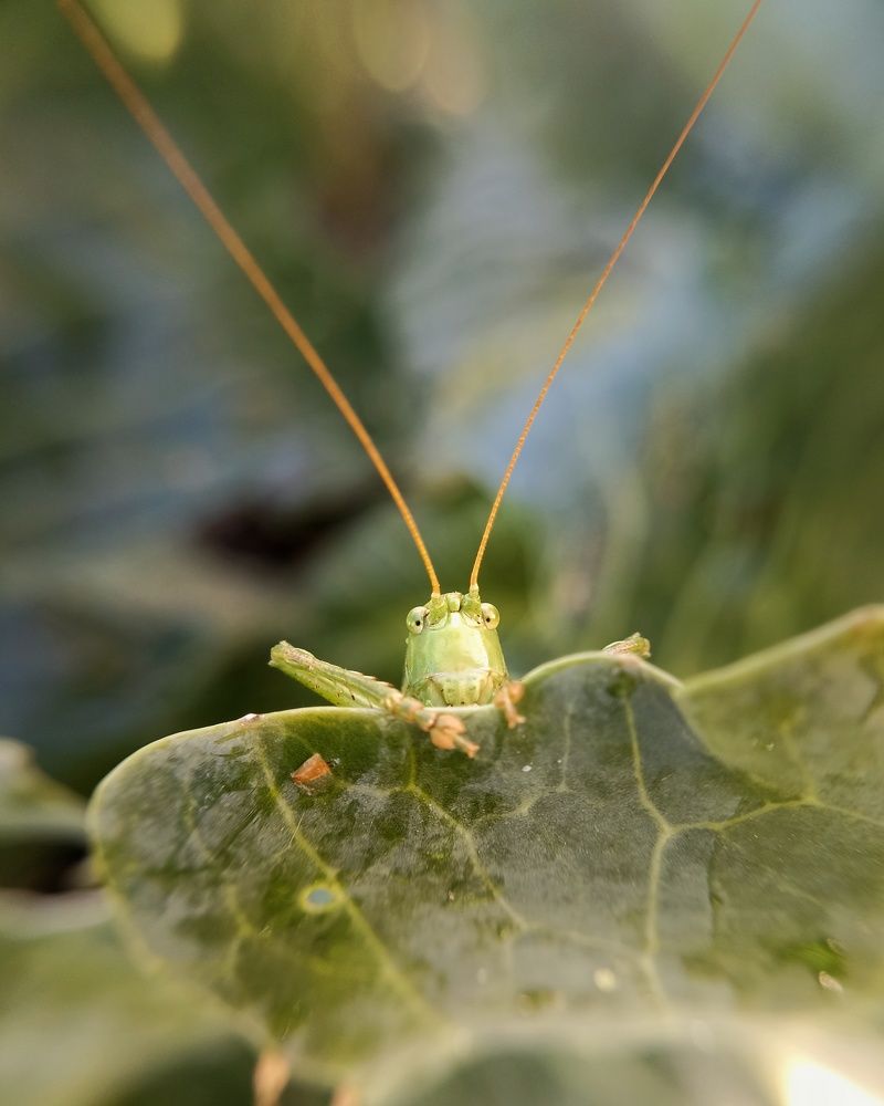 Photograph by Жанна Вахрамеева