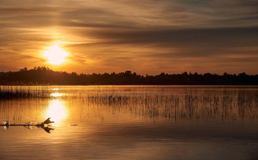 Photograph by Елена Зимацкая