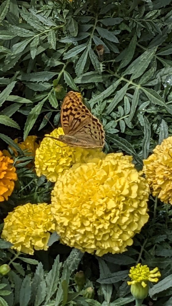 Photograph by Lilit Petrosyan