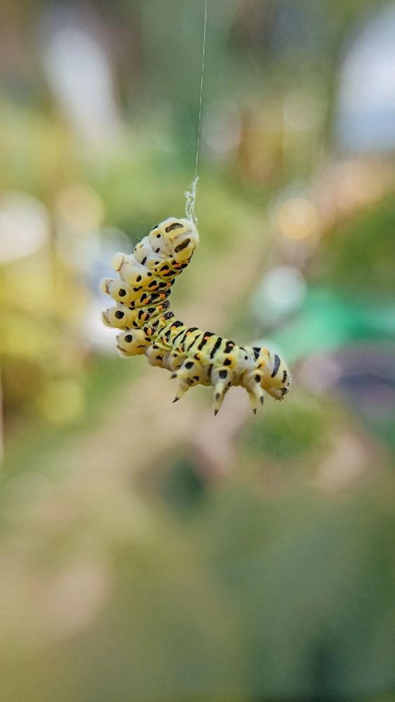 Photograph by Жанна Вахрамеева