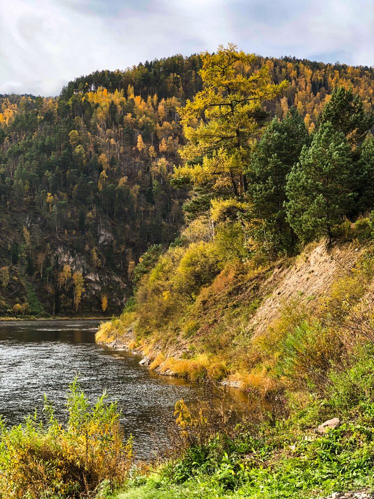 Фотография автора Светлана Гончарова