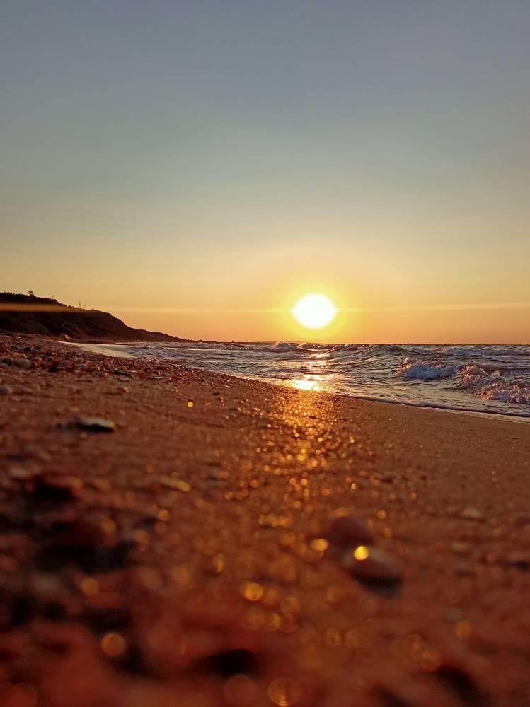 Фотография автора Татьяна Шахова