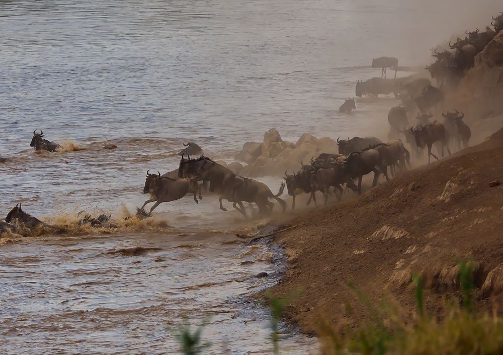 Фотография автора Kanwarjot Singh