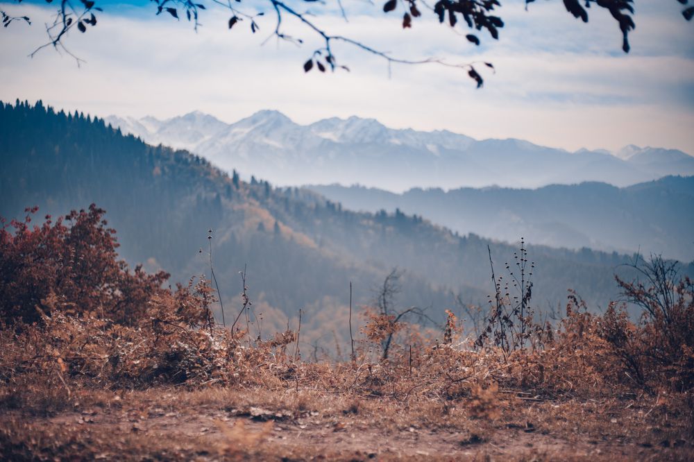 Photograph by Konstantin