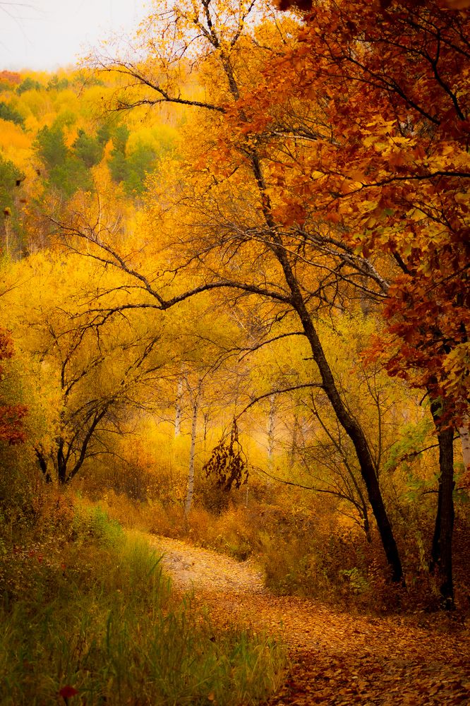 Photograph by Анна Осинцева