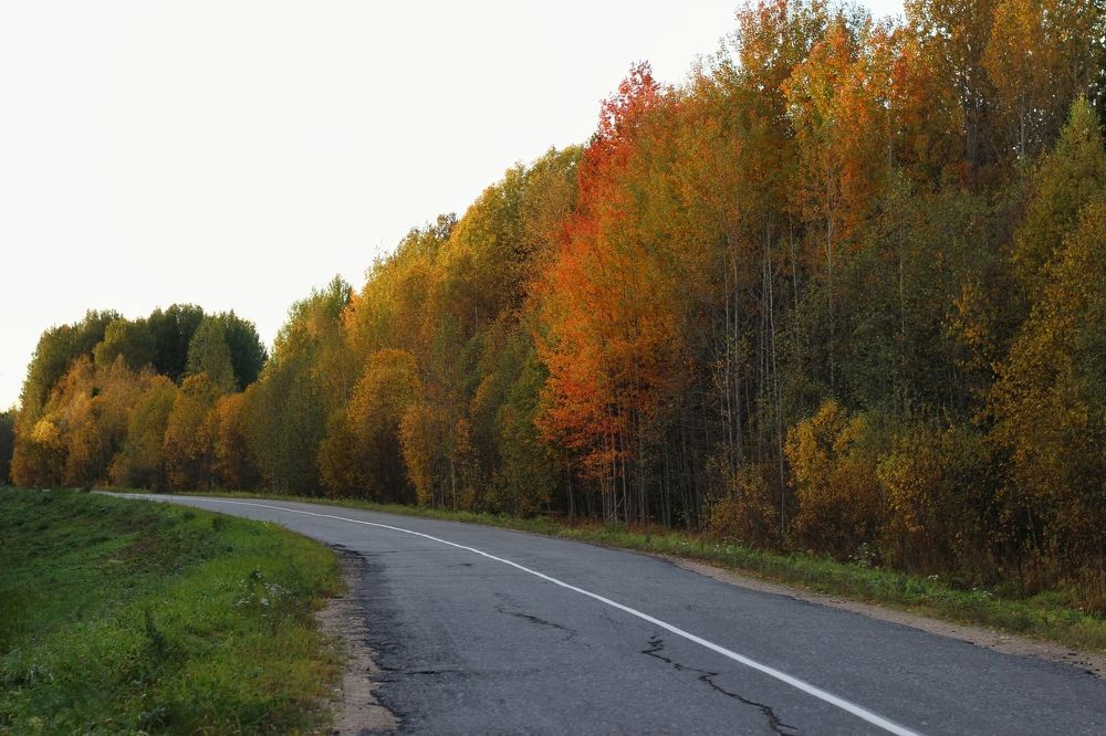 Фотография автора Андрей Шестаков