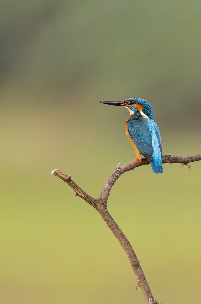 Photograph by Badal Parmar