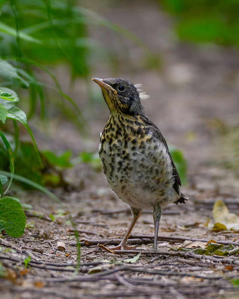 Photograph by Вячеслав Белов