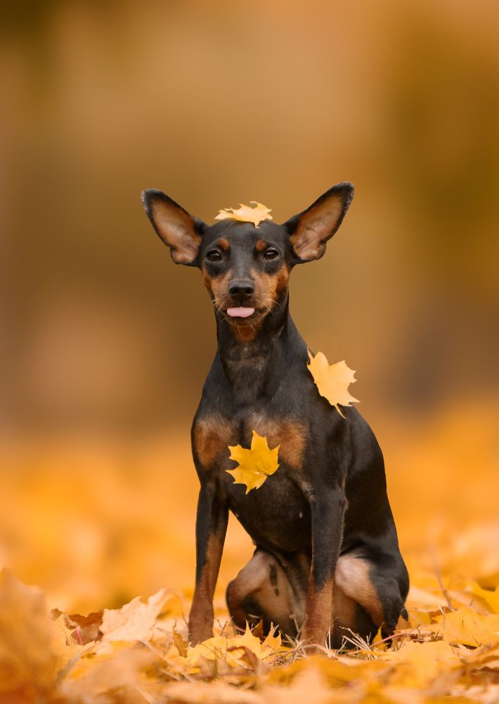 Photograph by Мария Клещенко