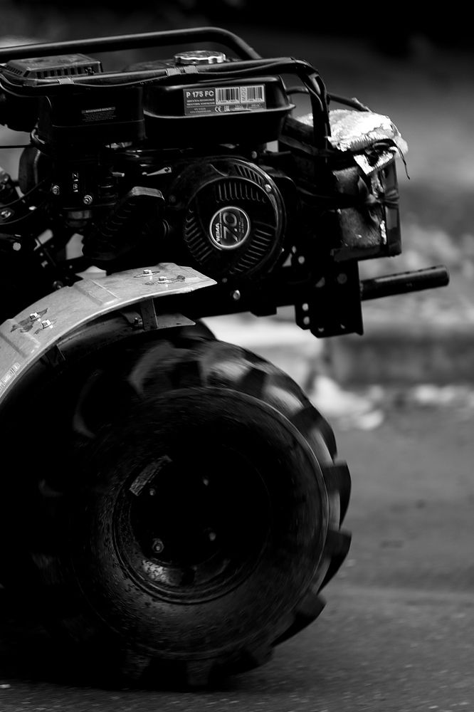 Photograph by Роман Акулов