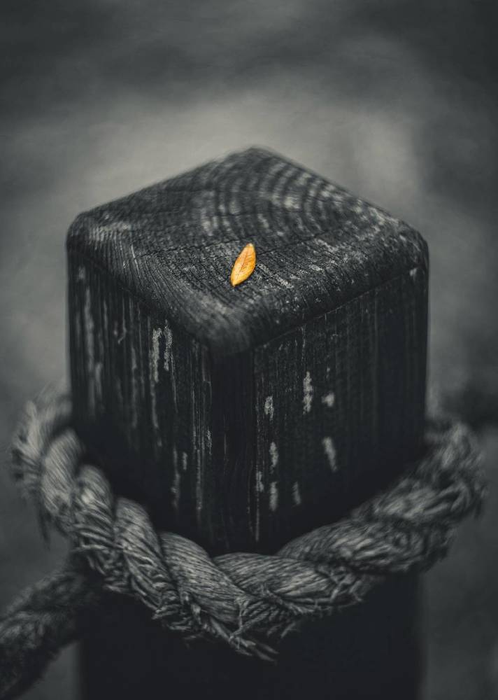 Photograph by Щербак Анатолий