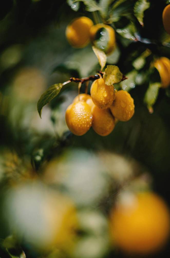 Photograph by Щербак Анатолий